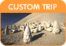Custom Trip